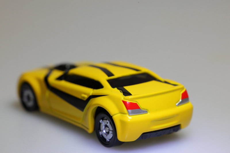MARCH2013_114.JPG