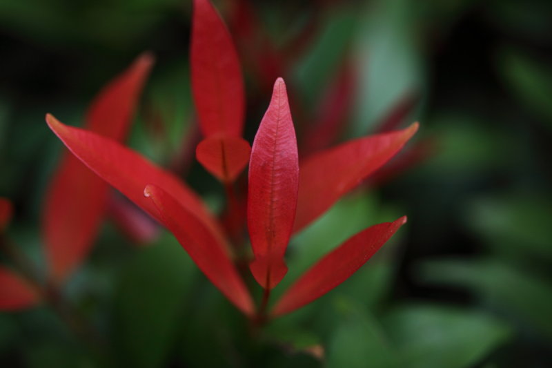 LLI_FEB2013_049.JPG