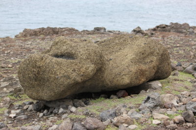 A downed moai at Ahu Akahanga