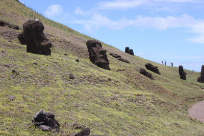 Moai freed from the stone but awaiting further work