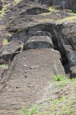 The largest moai of all