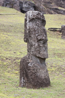 A stoic expression