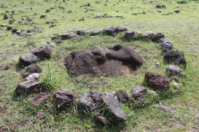 At Ahu Vinapu - An old head
