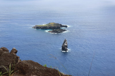 Birdman Island