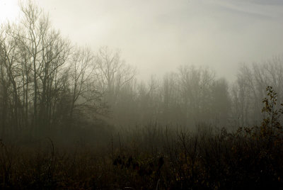Fun with fog