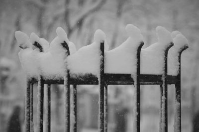 Snow Crown