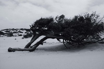 On the Dunes