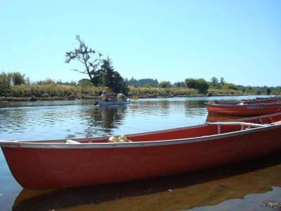 Transport
