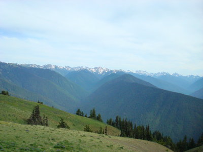 Hurricane Ridge