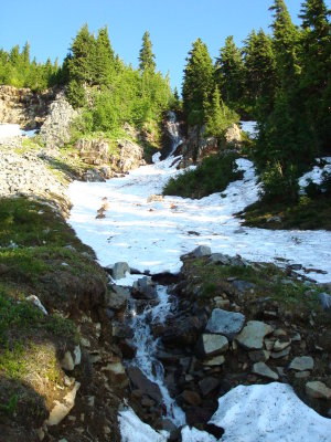 High Meadow