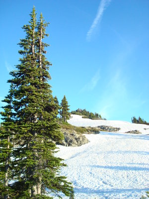 Snowfield