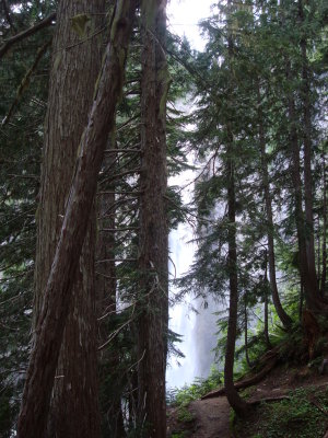Tree stand