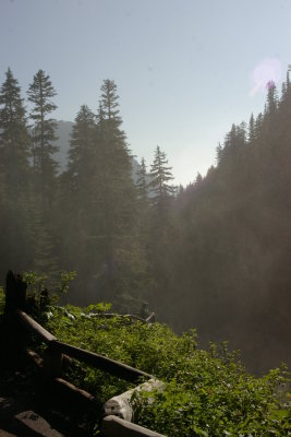 Trail