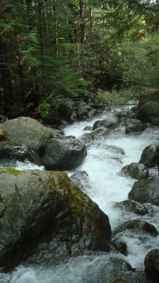 Olympic NP