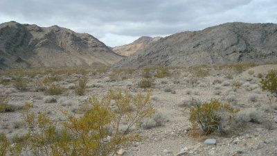 Arid