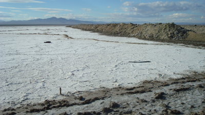 Mojave