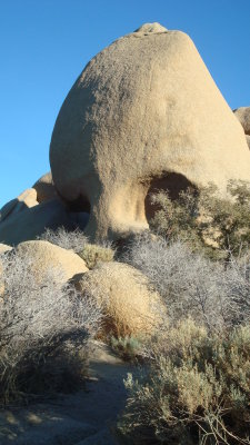 Skull rock