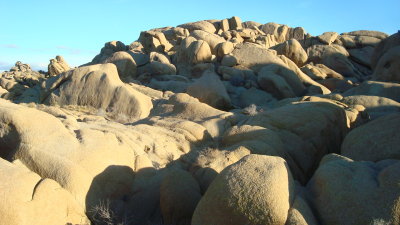 Rock field