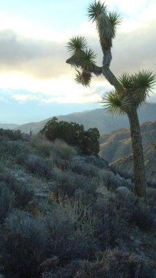 Hill side