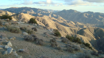 Longview