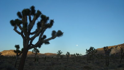 Moonrise