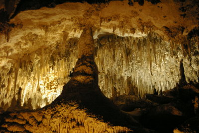 Mouth