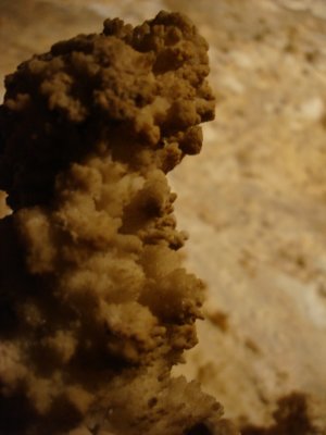 Popcorn closeup