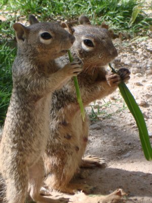 Lunchtime