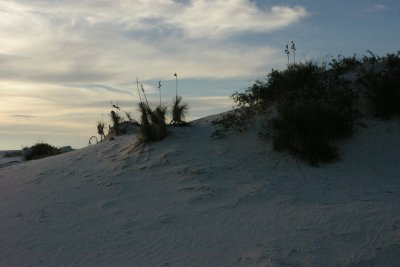 Hillside