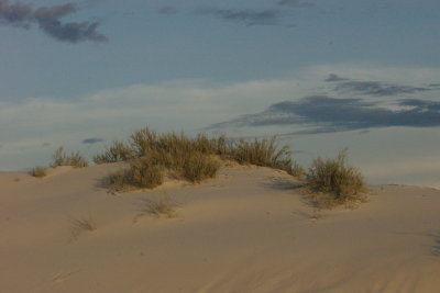 Dunetop