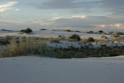 Windbreak
