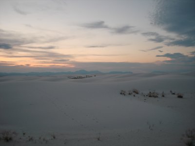 Field of White