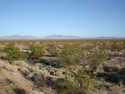 Rock Desert