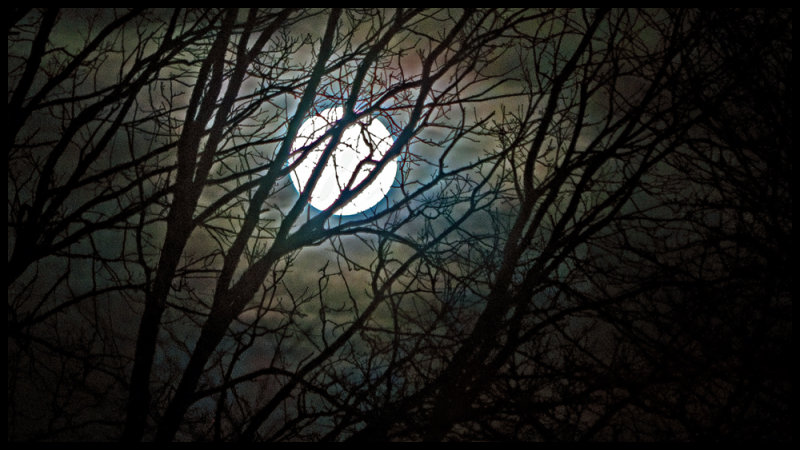 Saturday Night Moon 