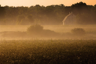 Barn in Fog