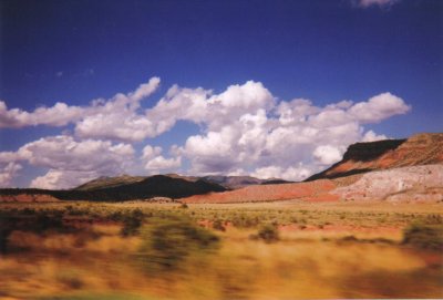 Desert scene, New Mexico