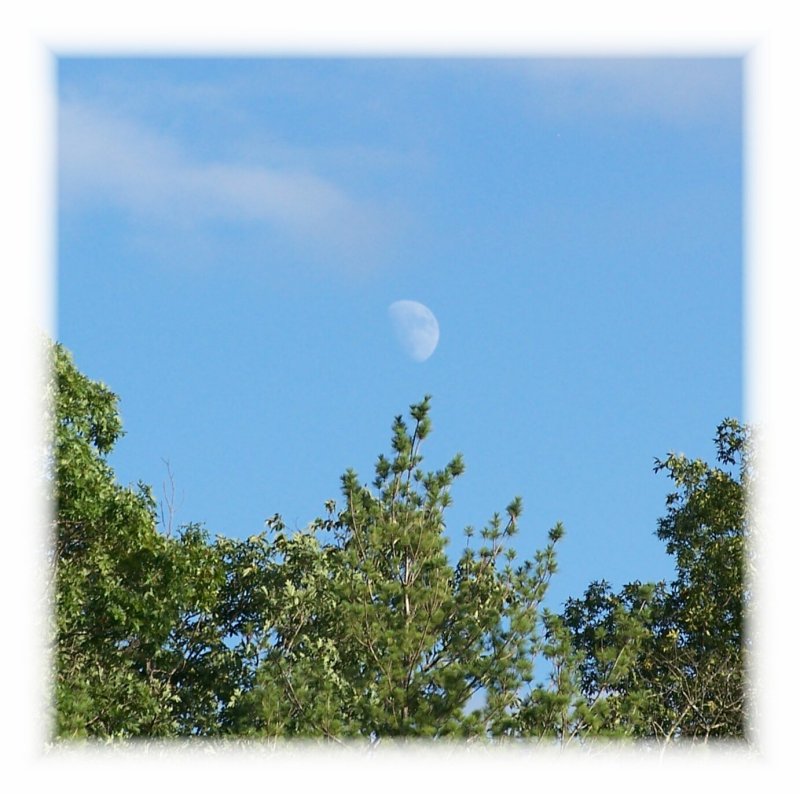 Moon~duh