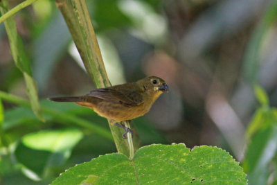 g2/80/793480/3/147011450.Qqr5GfVw.jpg