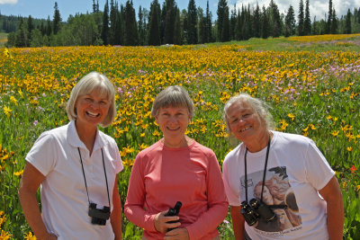 Laila, Jo, and Marilla