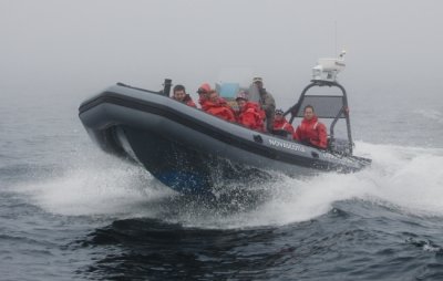 Whale Watching in the fog III