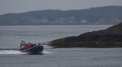 Whale watch