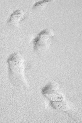Leaving footprint