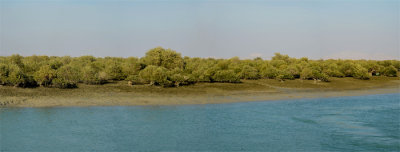 Hara Marine Forests