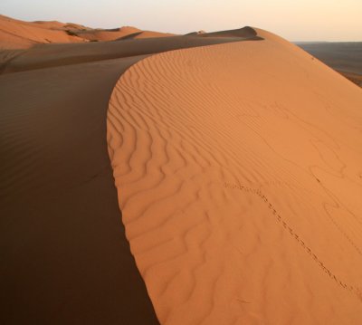 Wahiba Sands