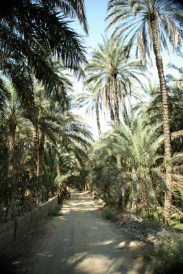 village