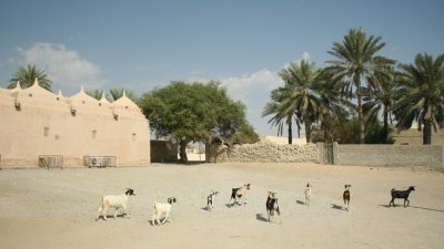 village