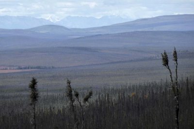 En allant vers / Going towards Delta Junction, Alaska