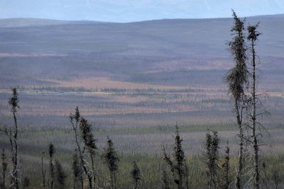 En allant vers / Going towards Delta Junction, Alaska