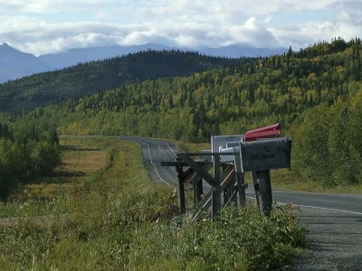 En route vers le parc Denali / On the way to the Denali Park