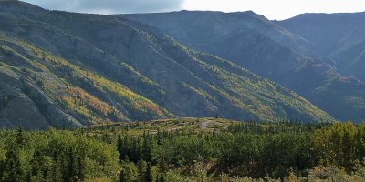 En route vers le parc Denali / On the way to the Denali Park